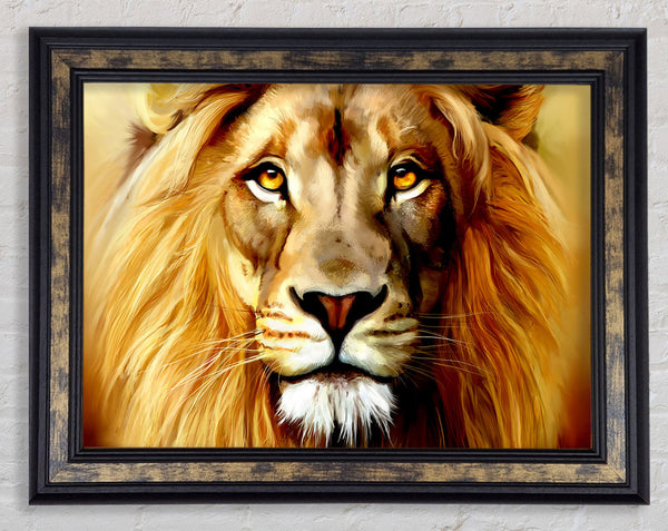 Lion Head Framed Print