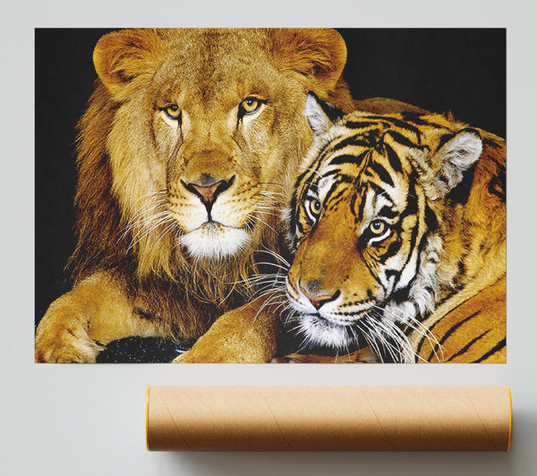 Lion Tiger Love Giclee Print
