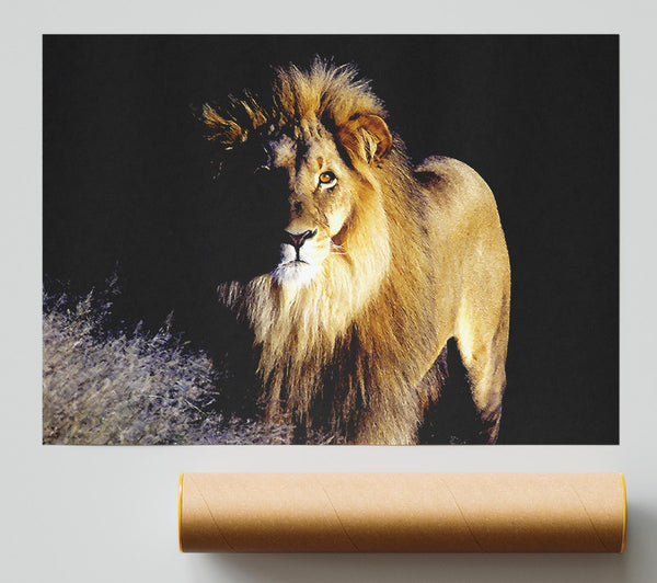 Lion Watch Print