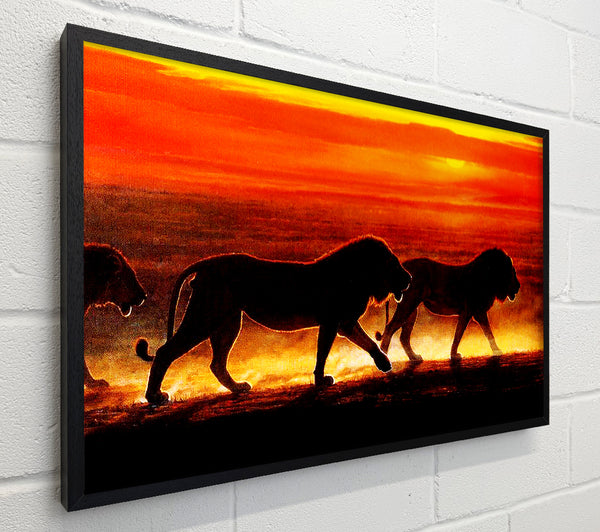 Lions On The Hunt