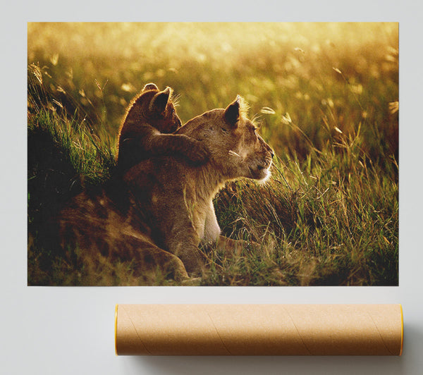Lioness And Cub Poster