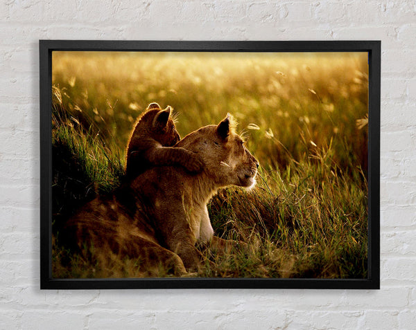 Lioness And Cub Framed Print