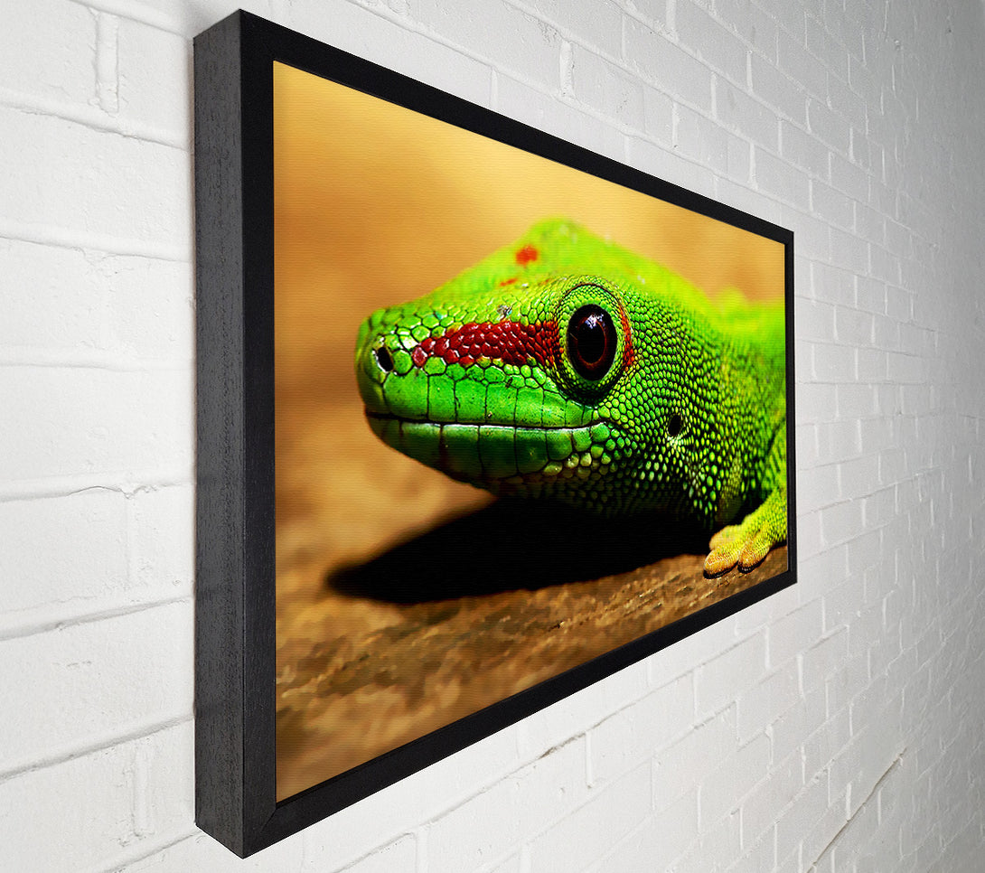  A Canvas Print of Lizard Face Canvas Wall Art