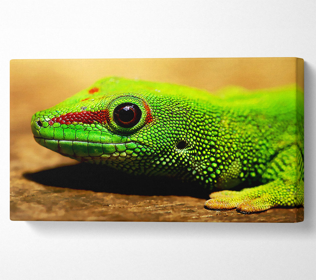  A Canvas Print of Lizard Face Canvas Wall Art