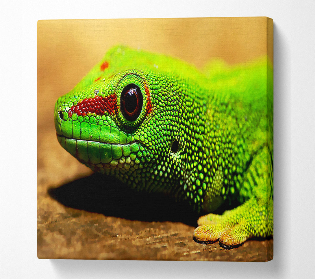 A Canvas Print of Lizard Face Canvas Wall Art