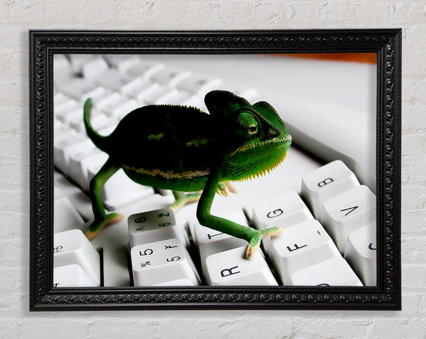 Lizard Keyboard Framed Print