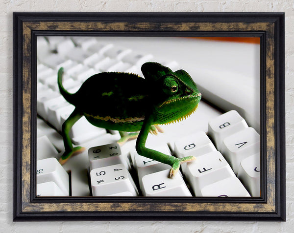 Lizard Keyboard Framed Print