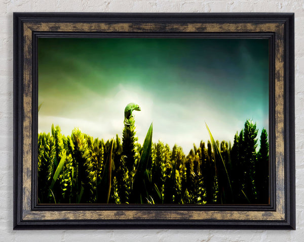 Lizard Perch Framed Print