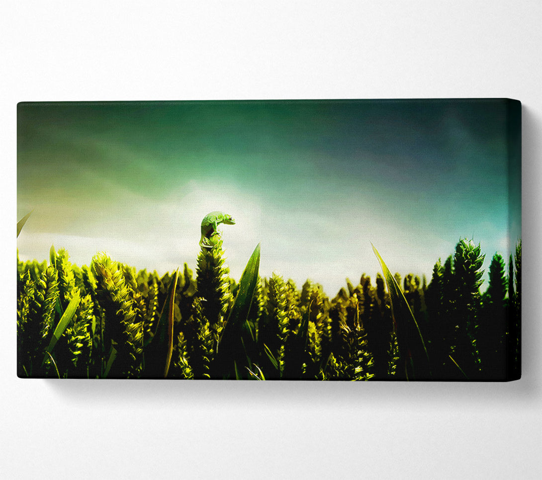  A Canvas Print of Lizard Perch Canvas Print