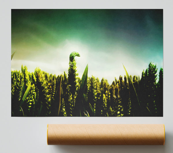 Lizard Perch Poster