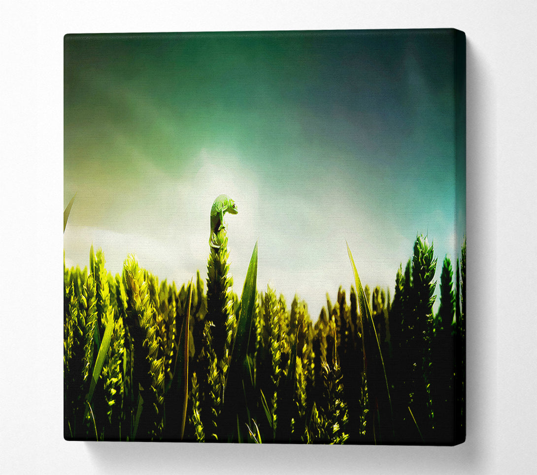  A Canvas Print of Lizard Perch Canvas Print