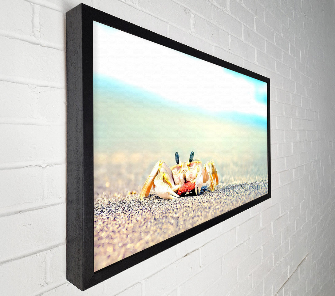  A Canvas Print of Lonely Crab Canvas Print