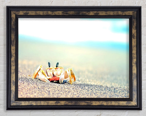 Lonely Crab Framed Print