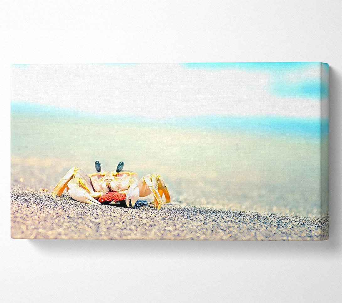  A Canvas Print of Lonely Crab Canvas Print