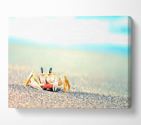  A Canvas Print of Lonely Crab Canvas Print