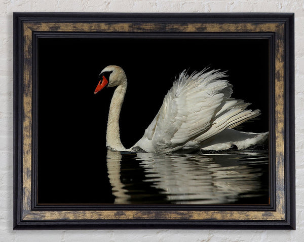 Lonely Cruiser Framed Print
