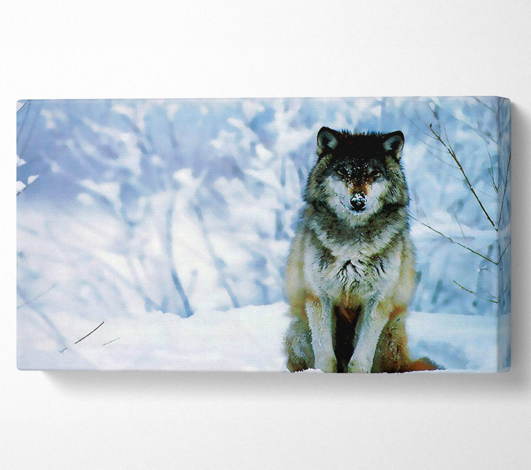  A Canvas Print of Lonsome Wolf Canvas Art