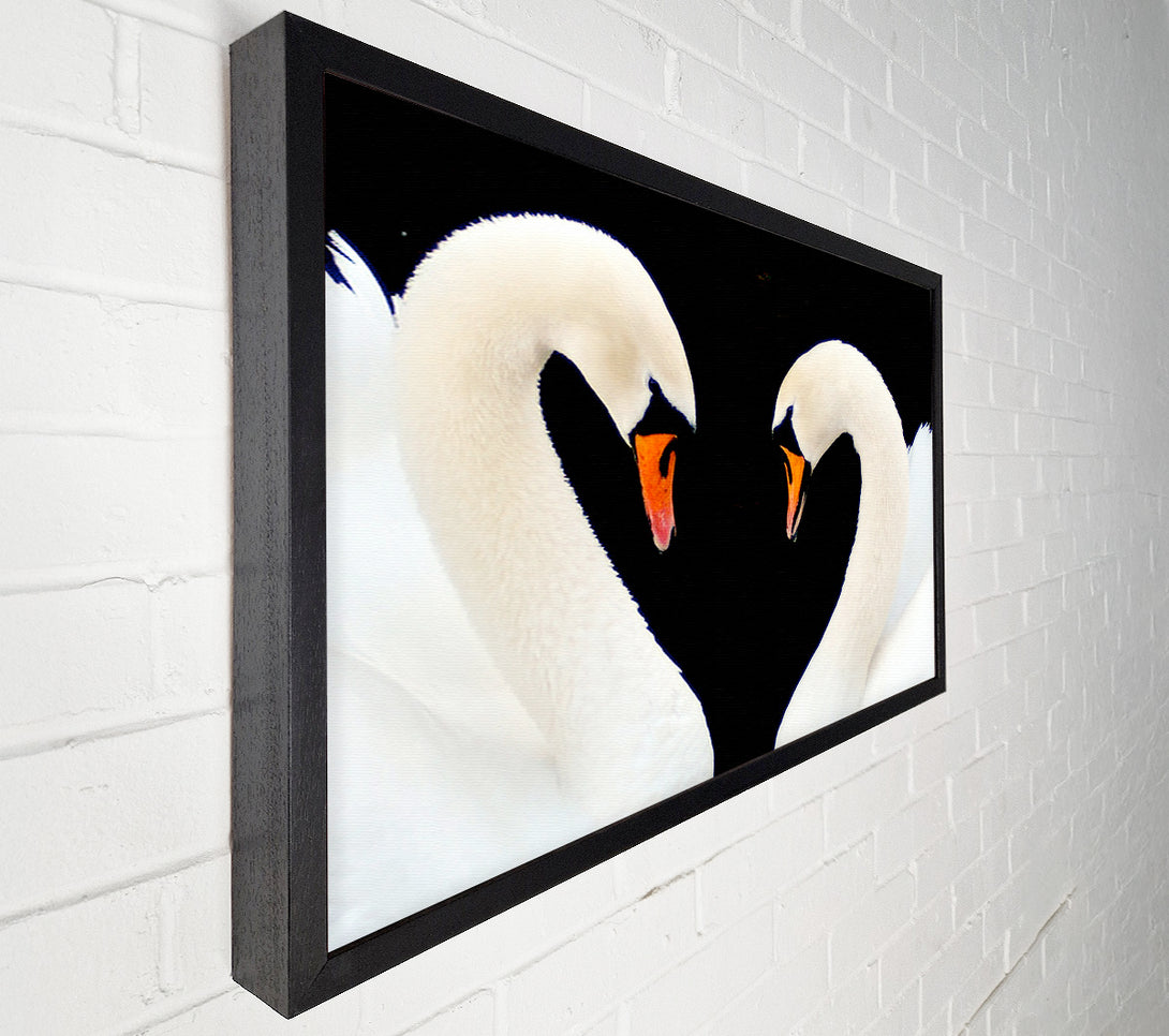  A Canvas Print of Love Heart Swans Canvas Print