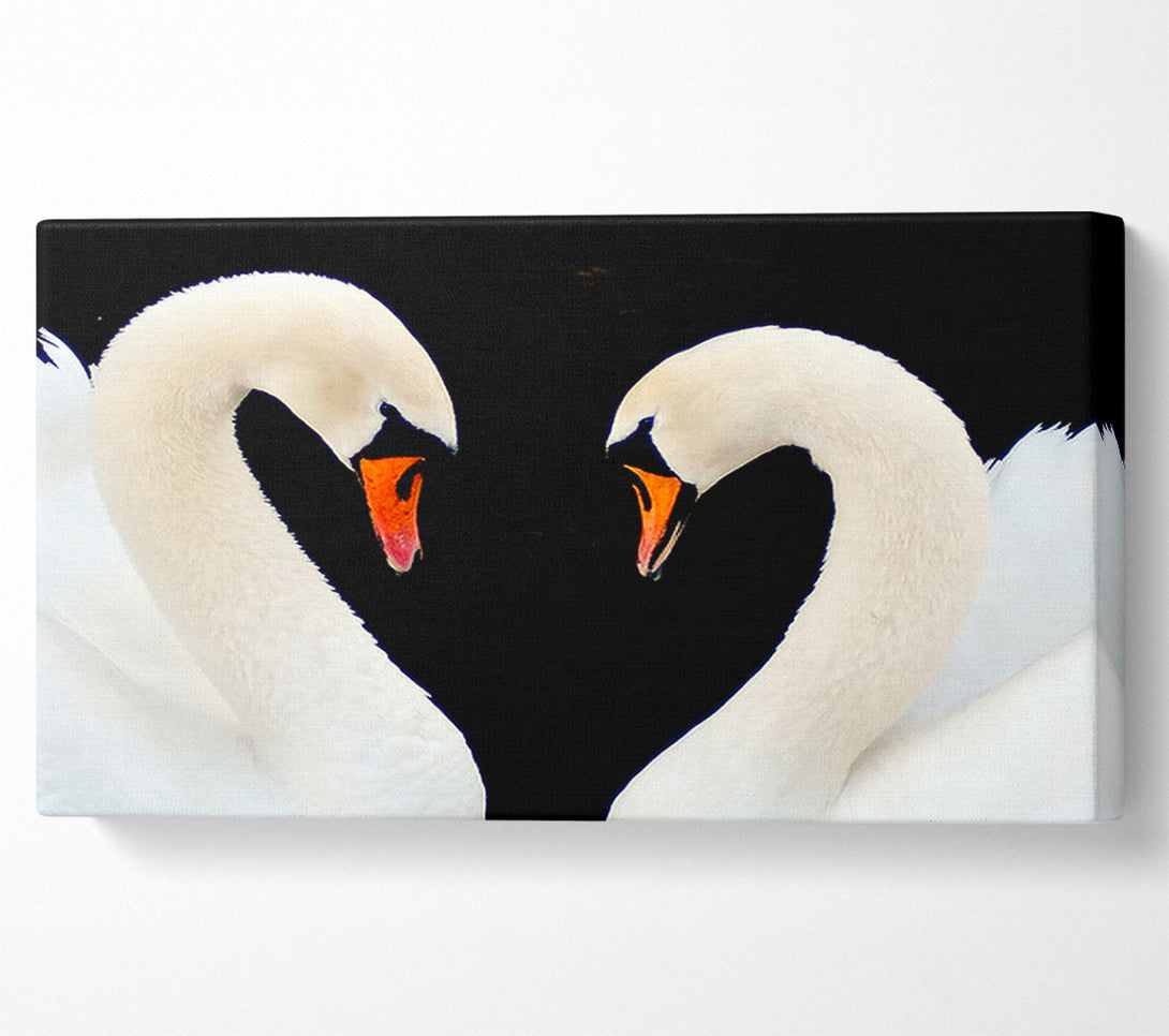  A Canvas Print of Love Heart Swans Canvas Print