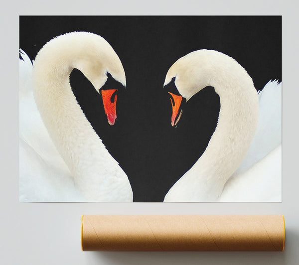 Love Heart Swans Giclee Print
