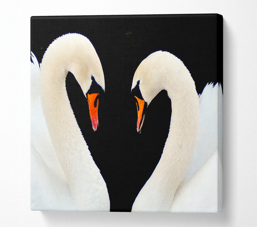  A Canvas Print of Love Heart Swans Canvas Print