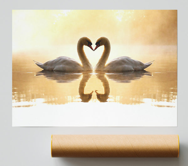 Loving Swans Print