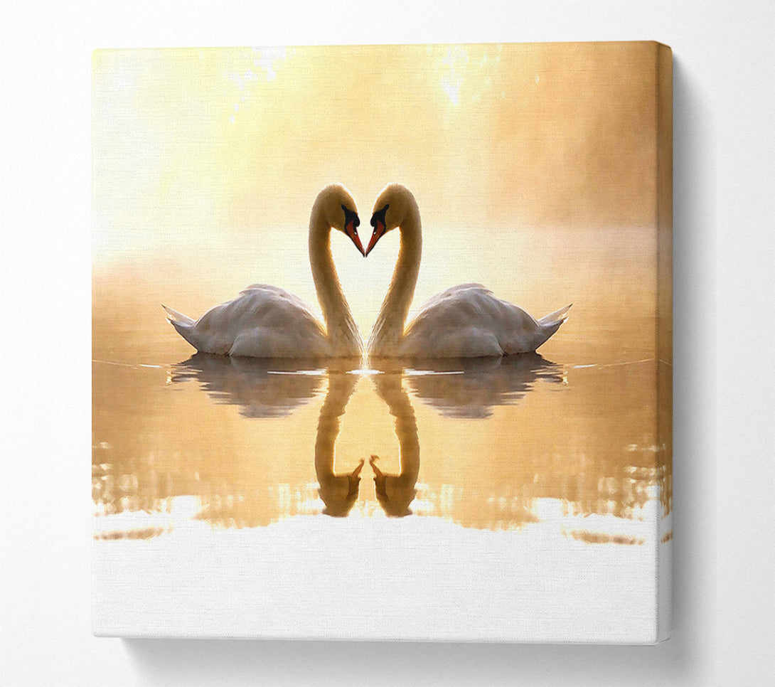  A Canvas Print of Loving Swans Canvas Print
