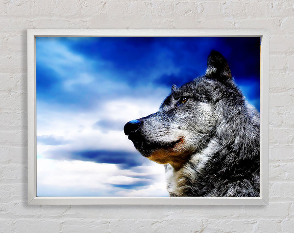 Magnificant Wolf Framed Print
