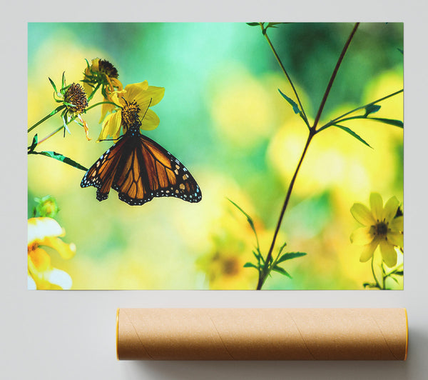 Monarch Butterfly On A Yellow Flower Poster