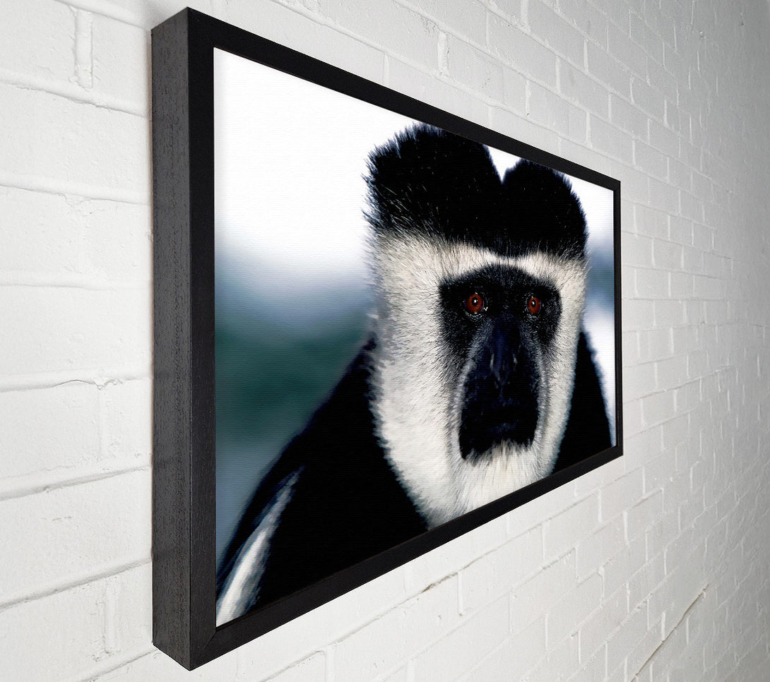  A Canvas Print of Monkey Face Canvas Art