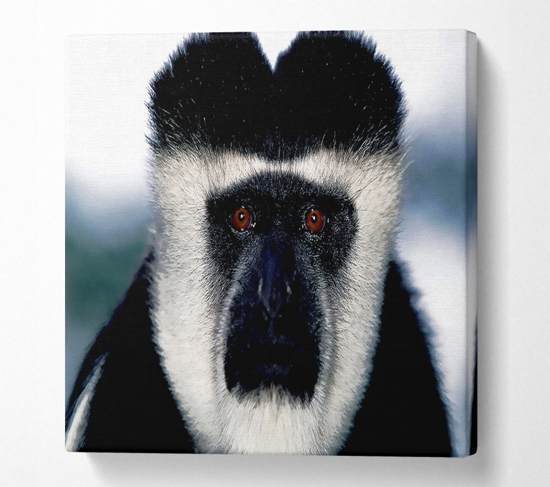  A Canvas Print of Monkey Face Canvas Art