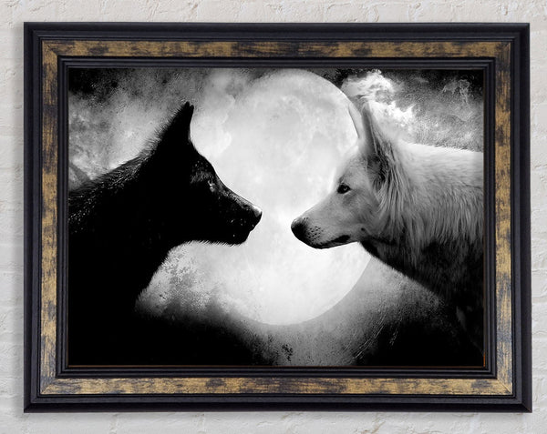 Moonlit Wolves Framed Print