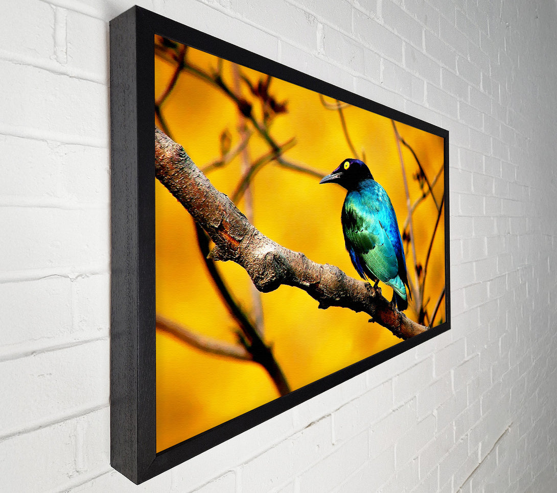  A Canvas Print of Morning Bird Canvas Art