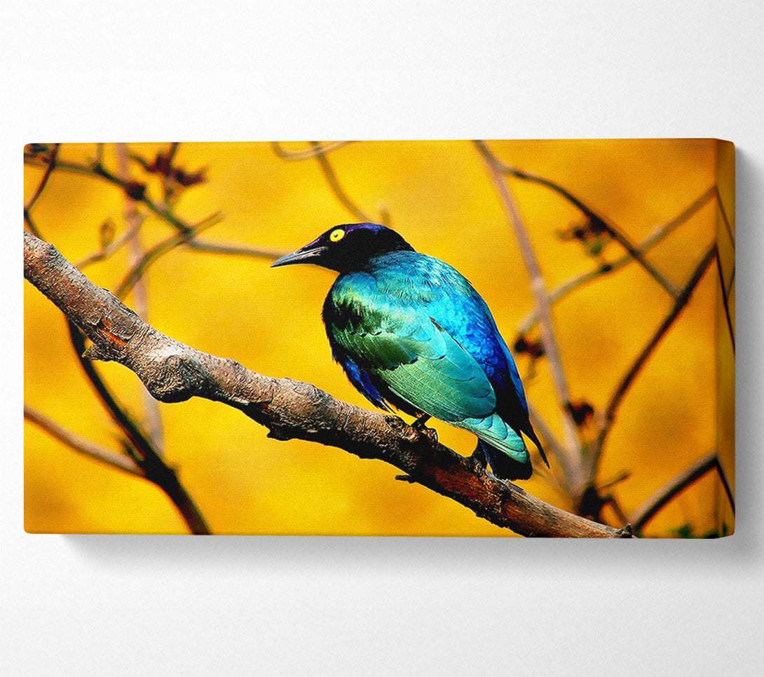  A Canvas Print of Morning Bird Canvas Art
