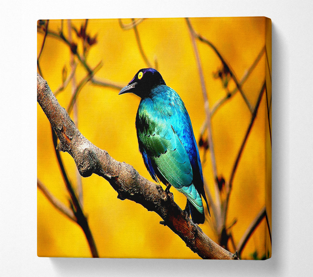  A Canvas Print of Morning Bird Canvas Art