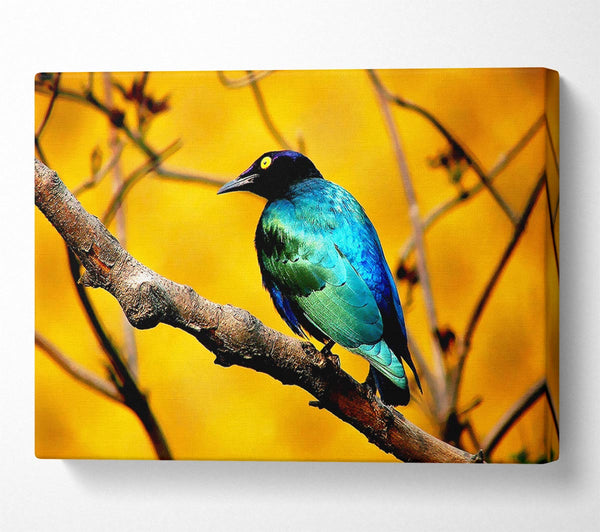  A Canvas Print of Morning Bird Canvas Art