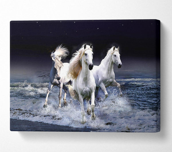  A Canvas Print of Mystic Horses Canvas Wall Art