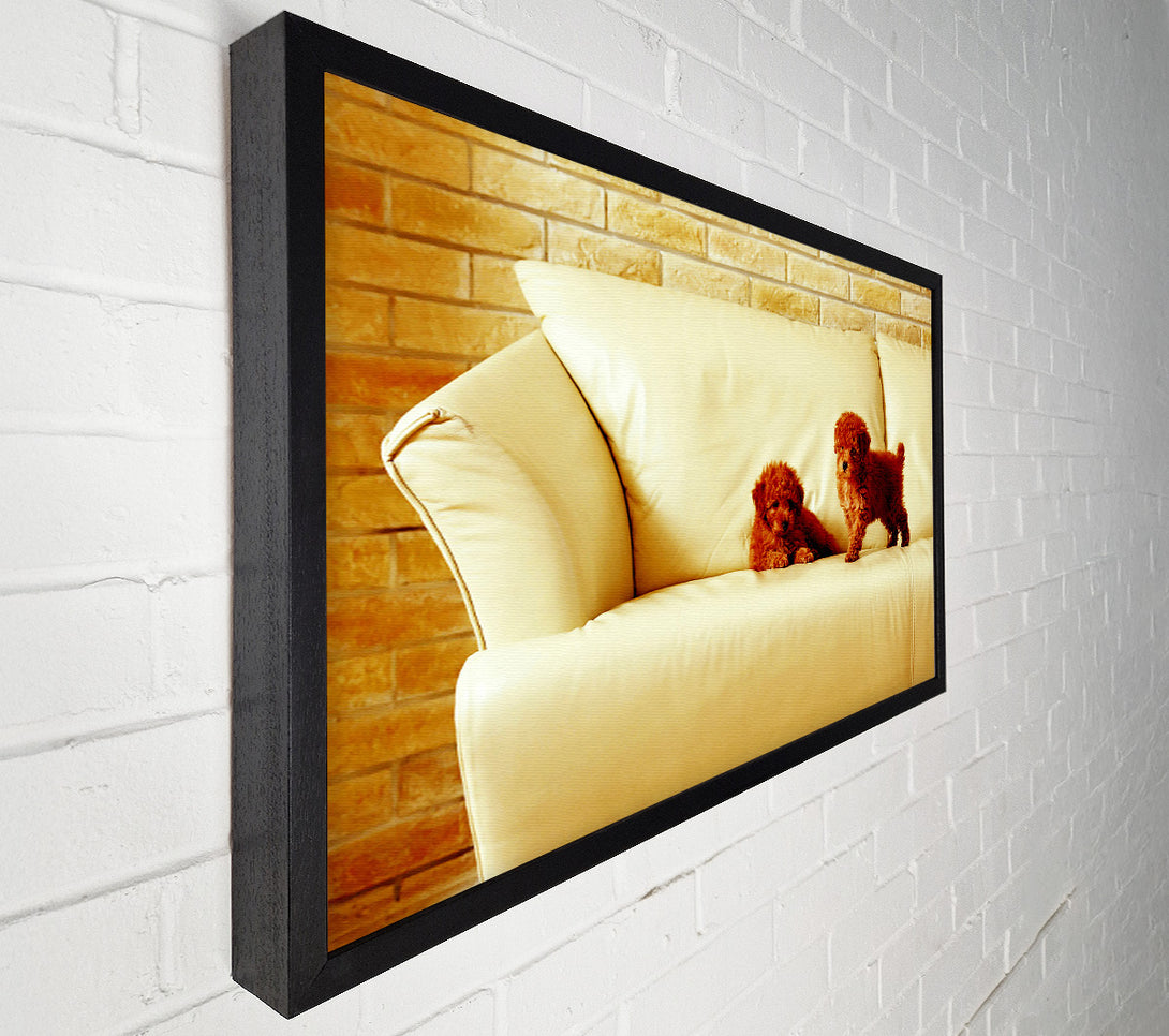  A Canvas Print of Naughty Puppy Fun Canvas Art