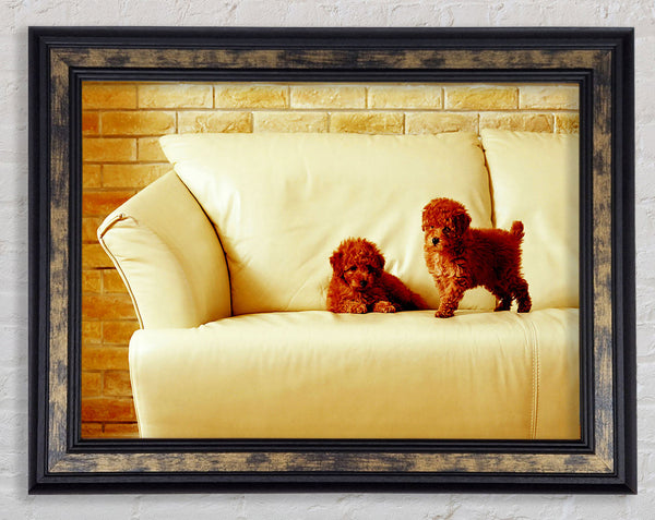 Naughty Puppy Fun Framed Print