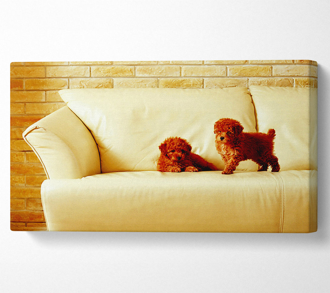 A Canvas Print of Naughty Puppy Fun Canvas Art