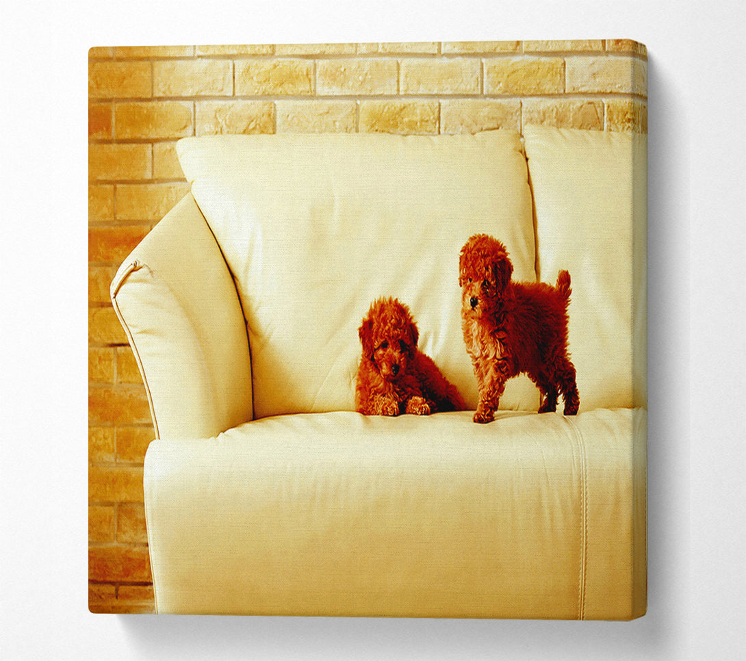  A Canvas Print of Naughty Puppy Fun Canvas Art