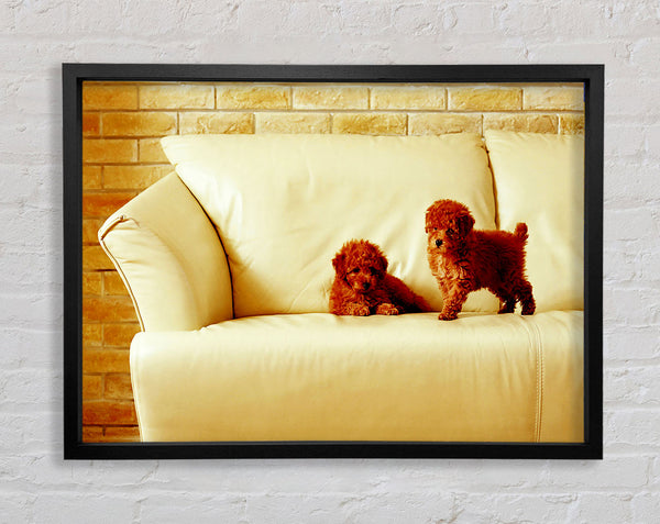 Naughty Puppy Fun Framed Print