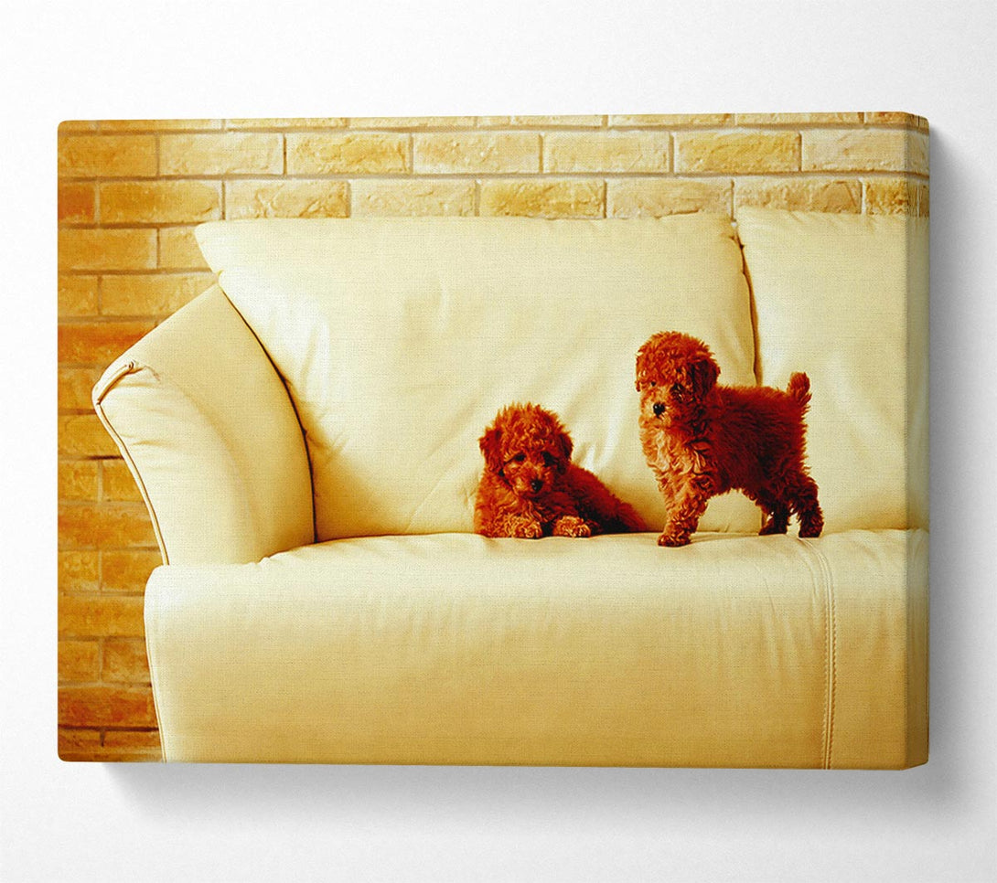  A Canvas Print of Naughty Puppy Fun Canvas Art