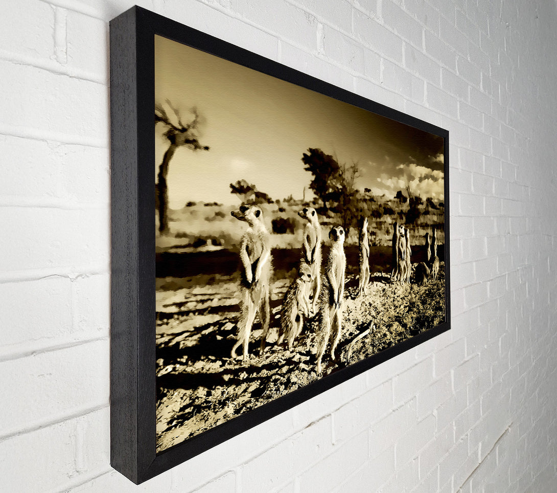  A Canvas Print of Noisy Meerkats Canvas Print