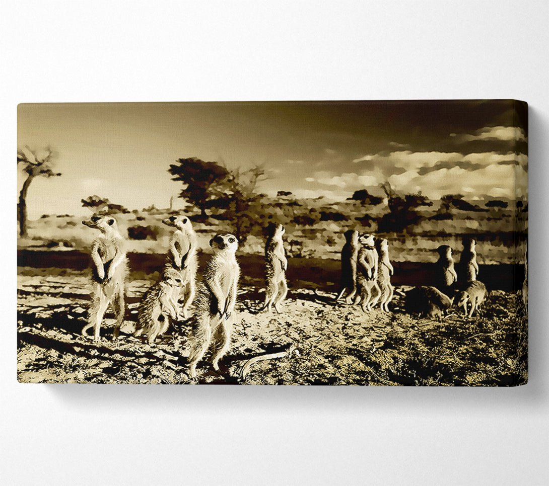  A Canvas Print of Noisy Meerkats Canvas Print