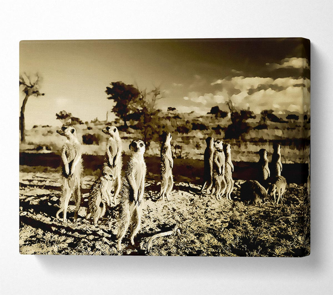  A Canvas Print of Noisy Meerkats Canvas Print