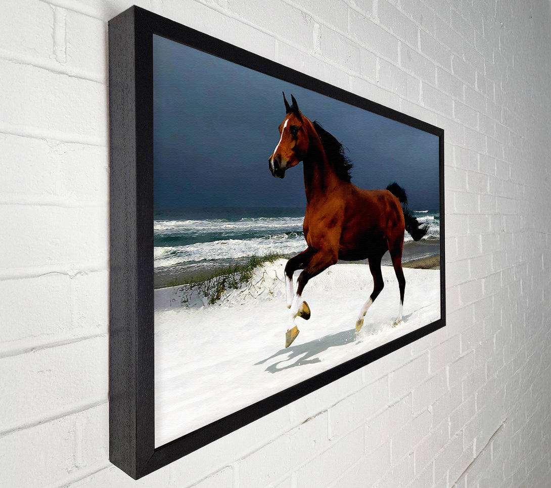  A Canvas Print of Ocean Horse Beauty Canvas Art