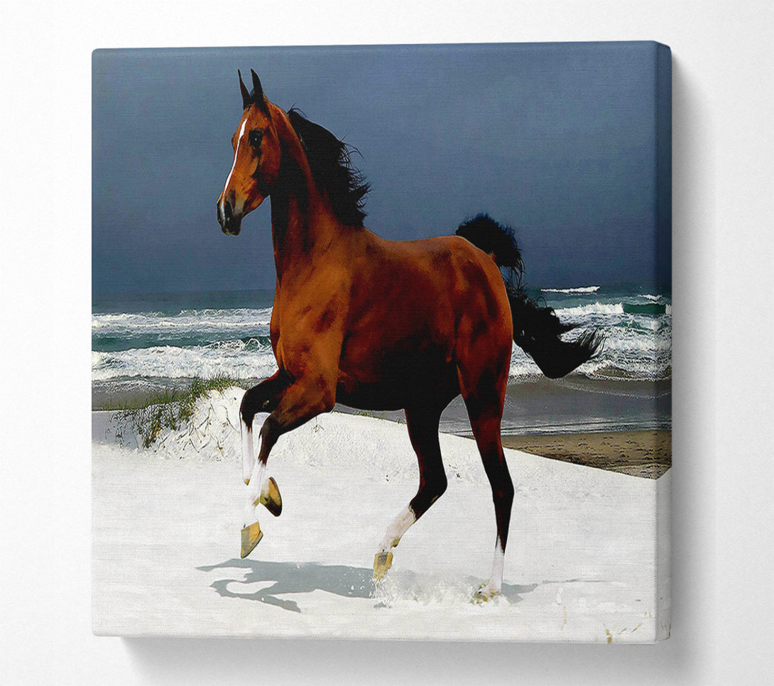  A Canvas Print of Ocean Horse Beauty Canvas Art