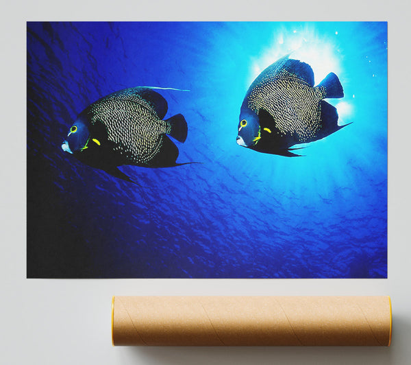 Ocean Delight Print