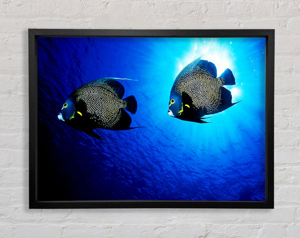Ocean Delight Framed Print